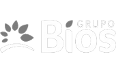 bios
